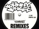 Johnny Jungle Flammable (Remixes) 12