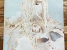 Pale Saints – In Ribbons - Original UK Pressing 4AD Vinyl LP -CAD 2004