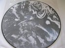 IRON MAIDEN  THE NUMBER OF THE BEAST LIMITED PICTURE DISC LP NUMBERED  269/333