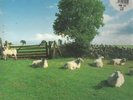 The KLF Chill Out 1ST UK PRESS ON KLF WITH PICTURE SLEEVE NEAR MINT Vinyl LP