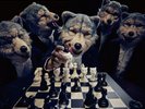 (JAPAN) LP Record Break and Cross the Walls I (Limited) - MWAM [Analog]