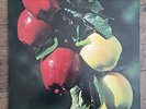 Washington Apple Fresh Country Apples Delicious Record Vinyl 12