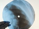 MAMAS & PAPAS CALIFORNIA DREAM X-Ray USSR Record Roentgen Bone Ribs Music Vinyl