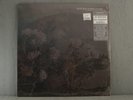 AN AUTUMN FOR CRIPPLED CHILDREN All Fell Silent LP sealed SWIRL VINYL Record NEW