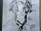 Suede Signed Antidepressants White Vinyl LP 'Sing a Song While We're Happy' new