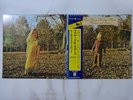 The Allman Brothers Band Brothers & Sisters Warner Bros. P-8345W Japan   LP OBI