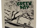 GREEN DAY 39 Smooth LOOKOUT RECORDS Vintage LP Vinyl Record Near Mint Condition