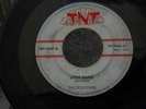 S TNT 9027 RNR ROCKABILLY THE DELATONES LITTLE JEANIE DREAM WORLD LARRY ADAIR