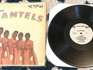 We Are the Chantels LP End 301/US w/rare cover early girl group VG/G+