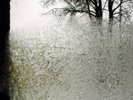 Bon Iver For Emma, Forever Ago (Vinyl) 12
