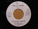 Manhattens Doo Wop Detroit 45 Feeling Is Mutual bw Why Should I Cry on Big Mack