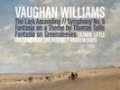 Ralph Vaughan W Vaughan Williams: The Lark Ascending/Symphony No. 6/Fant (Vinyl)
