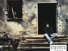 Echo & the Bunnymen Siberia (Vinyl) 12