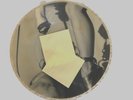 Madonna, Picture Disc, From the Sex photo book, UNIQUE