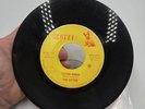 The Litter 45 Action Woman / Legal Matters 1967 Minnesota Garage VG