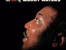 Muddy Waters The Best of Muddy Waters (Vinyl) 12