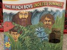 Endless Summer by the Beach Boys (Vinyl 2xLP, 2008), Brand New, Surf Pop Rock