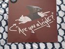 Lovejoy - Are You Alright?/Pebble Brain *Sealed* Vinyl Record WHITE 2022