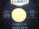 The Beach Boys - 