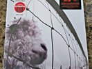 Pearl Jam : Vs. (Exclusive Limited 30th Anniversary Clear Vinyl LP) NEW/SEALED