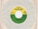 Bluesy HARP Jimmy Reed style C&W  HASIL 