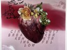 Ken Stringfellow - Circuit Breaker LP Self Release 2024 Ltd Ed Gold Autograph