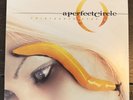Thirteenth Step by Perfect Circle (Record, 2003) VG+/VG+ 2019 Pressing