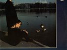Tears For Fears - Mad World, 12