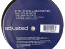 The Thrillseekers By Your Side 12