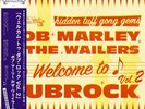 Bob Marley & The Wailers - Welcome To Dubrock Vol. 2 (Vinyl LP 2023, Japan Imp)