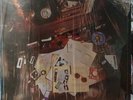 THE WANDERERS LP ONLY LOVERS LEFT ALIVE POLYDOR UK DEAD BOYS SHAM 69 BATORS '81