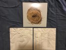 Wilco - A Ghost Is Born - Black 2xLP Gatefold Reissue - Used VG+/VG+