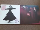 2x Stevie nicks 2 vinyl records the wild heart rock a little