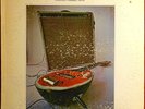 B.B. King- Indianola Mississippi Seeds LP ABC Records 1970