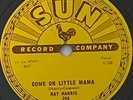 RAY HARRIS SUN 254 