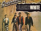 Greyhound (4) - Black & White, LP, (Vinyl)