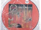 SLAYER Hell Awaits METAL BLADE MXPD-8020 LP picture disc Ltd. Ed. SEALED r