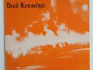 Dead Kennedys Fresh Fruit For Rotting Vegetables NM First Press Orange Cover