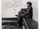 JAMES BROWN IN THE JUNGLE GROOVE URBAN URBDP11 UK ORIGINAL VINYL 2LP