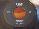 The Deltones. Mike Lundy. How I Wish. b/w Linda Green. EX Hawaii Garage Rock 45