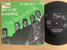 THE TEMPTATIONS - YOU'RE MY EVERYTHING - NORWAY 7” on TAMLA MOTOWN - TMG 620