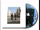 Pink Floyd Wish You Were Here Blood Records LP Presale quadratic coral Vinyl