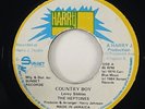 Heptones 