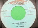 The Zanies The Mad Scientist / Shes a Winner 45 Halloween Novelty Dore 515