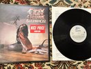 OZZY OSBOURNE BLIZZARD OF OZZ 1980 METAL ROCK MUSIC EPIC LP DISC