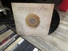 Whitesnake LP 1987, Geffen Records, GHS 24099,-- Still Of The Night -VG+