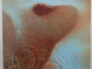 PINK FLOYD  Meddle Harvest SHVL 795 UK 2ND Press HARRY MOSS NM-/EX LP-193