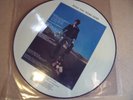 STUNNING PICTURE DISC PROMO PINK FLOYD WISH YOU WERE HERE