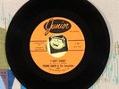Yvonne Baker and The Sensations 45 I Can't Change / Mend the Torn Pieces Soul EX