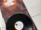 The Triffids – Calenture (1987) - Island Records - LP David McComb rare vinyl LP